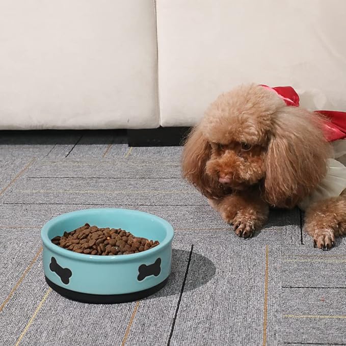 Sweejar Ceramic Dog Bowls with Bone Pattern, Dog Food Dish for Small Dogs, Porcelain Pet Bowl for Water 16 Fl Oz (New Turquoise)