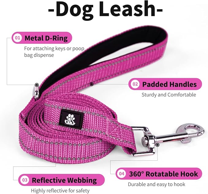 IVY&LANE 2 Pack Reflective Dog Collars and Leashs Set,Adjustable Neoprene Padded Dog Collar for Puppy, Breathable Nylon Pet Collar for Small Medium Large Dogs(Small,Fuchsia+Teal)