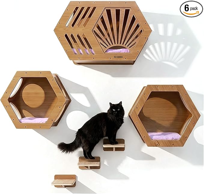 Modern Hexagonal Cat Wall Shelf System, 6-Piece Wood Wall Mounted Cat Furniture with 2 Small Hexagons, 1 Large Hexagon and 3 Climbing Steps, Geometric Cat Shelves