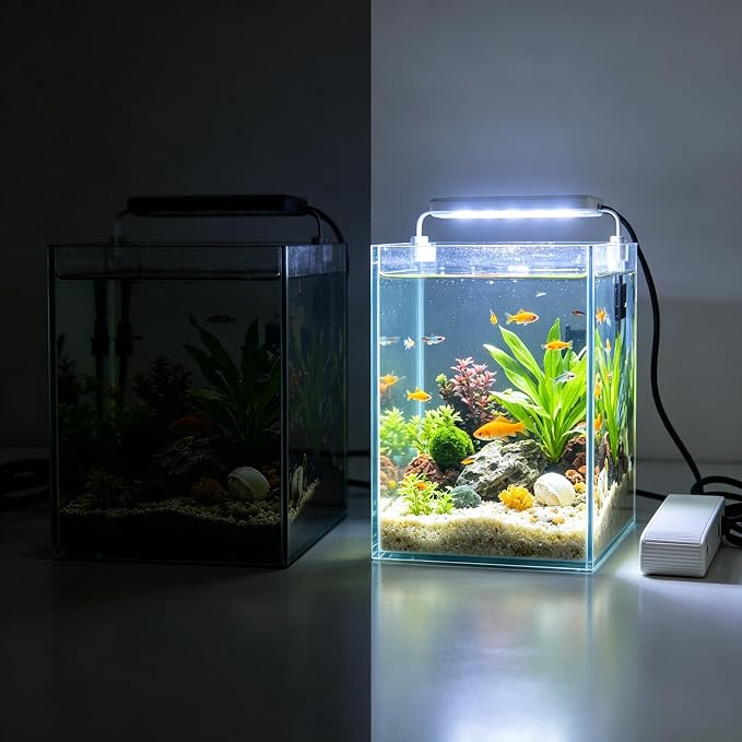 Small Multicolor Aquarium LED Light for Fish Tanks and Bowls | Compact clip-on LED lamp adds multicolor lighting to small aquariums, desktop fish bowls, plant tanks and terrariums