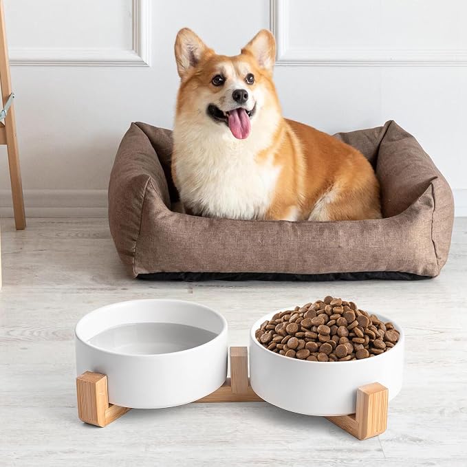 Mowtanco White Ceramic Dog & Cat Bowl Set – 13.5 OZ with Wooden Stand, Non-Slip, Elevated Design for Small Dogs & Cats – 2 Bowls (Food & Water, Ceramic Pet Bowls, Modern Dog Bowls)