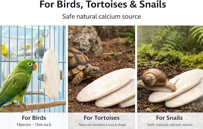 Birds LOVE 5.5-6″ Cuttlebone for Birds – 100% Natural Sun-Dried Calcium & Beak Conditioning Supplement for Parakeets, Budgies, Cockatiels, Finches & Canaries – 6 Pack with Holder – Made in Vietnam