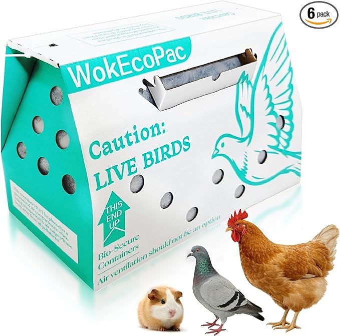 6 Pack Single Live Bird Shipping Boxes, Live Chicken Shipping Boxes, Poultry Shipping Boxes has Ventilation Openings, Cardboard Pet Carrier for Chicken, Bird, Duck, Pigeons, Canaries 17.7x7.8x11.8 in