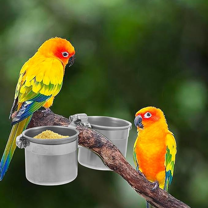 Bird Water Feeder Dishes Bird Bowl for Cage Coop Cups Parrot Food Hanging Pet Animal Stainless Steel Birdcage Bowls Feeding Perches Play Stand with Clamp 15x6. 5cm