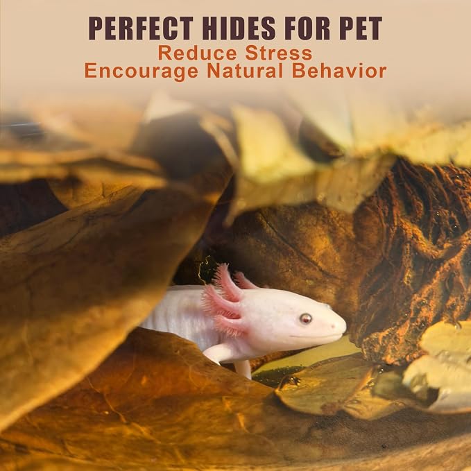Indian Almond Leaves for Betta Fish,20Pcs Catappa,40Pcs Oak Leaves & 60Pcs Longan,Aquarium Water Conditioner Leaf,pH Balancing Water Conditioner Leaf for Betta Fish,Shrimp,Frogs,Axolotl Tanks