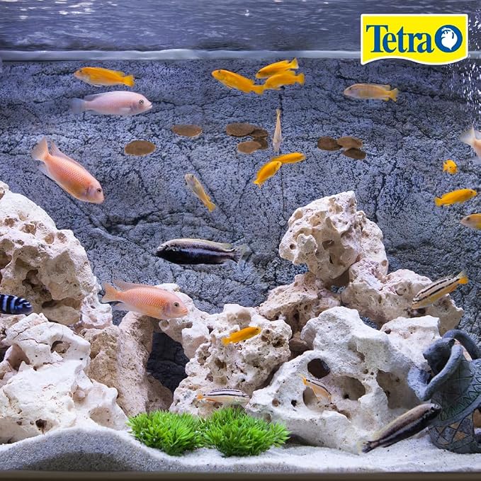 Tetra Cichlid Crisps Fish Food, 8.82 oz | For Top & Mid-Water Cichlids, Protein-Rich Crisps With Algae Extract, Clear Water Formula Does Not Cloud Water, Feed Daily