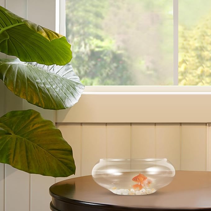 Sewroro Glass Goldfish Bowl Small Fish Tank, Clear Glass Aquatic Plant Bowl for Desktop Hydroponic Planter, Wedding Anniversary Birthday Small