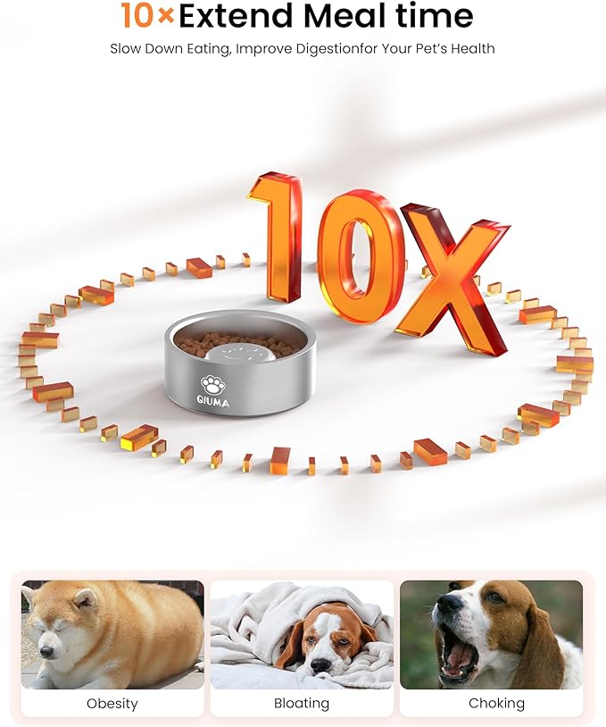 Qiuma Slow Feeder Dog Bowls Stainless Steel, Food-Grade 304 Dog Slow Feeder Bowl 2 Cups Capacity, Heavy Duty Double-Layer with Non-Slip Base, Pet Puzzle Bowl for Small & Medium Dogs (Silver)