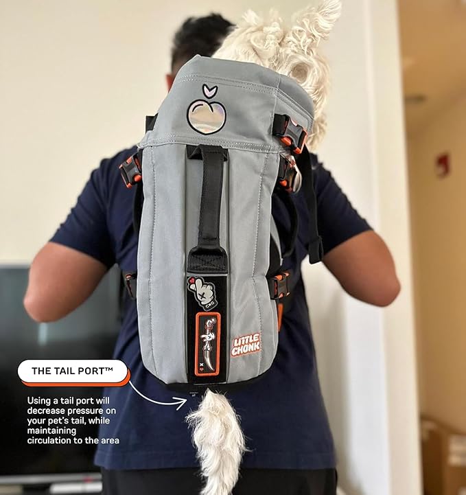 Maxine One Dog Backpack Carrier for Medium Dogs by Little Chonk | Adjustable & Ergonomic Front Facing Dog Carrier Backpack | Built to be Safer | Pet Backpack Carrier Featured in Wired Magazine - Gray