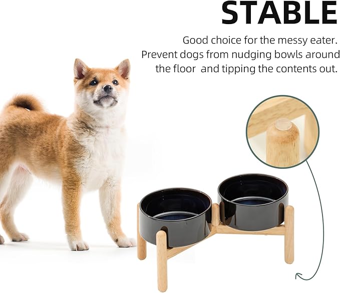 Havniva Ceramic 6.1inch Raised Dog Bowl with Stand for Small and Medium Breed Dog Dish Pet Food and Water Bowl (Double Bowl with Stand - Starry Sky, 28oz)