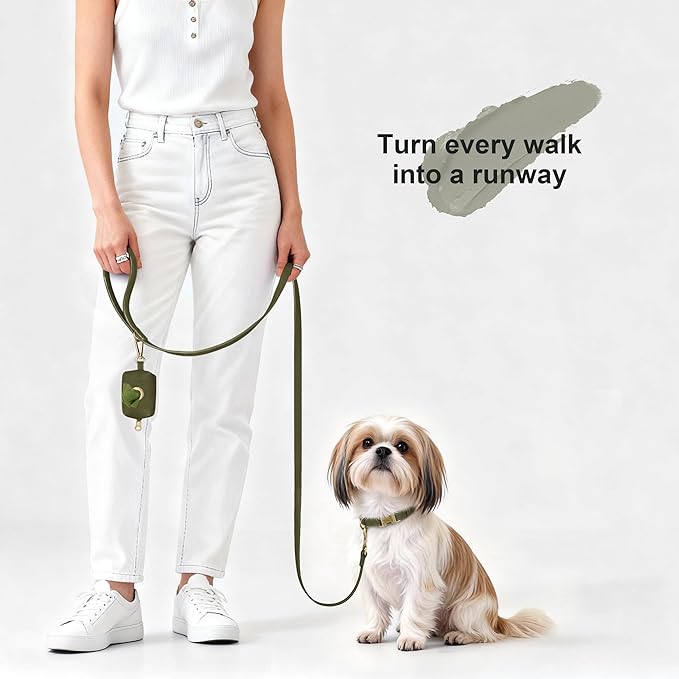 Didog Soft PU Leather Dog Collar, Stylish Quick Released Dog Collars for Small Dogs, Easy Clean Adjustable Pet Collar for Daily Walking, Dark Green, S Fit 10-15" Neck