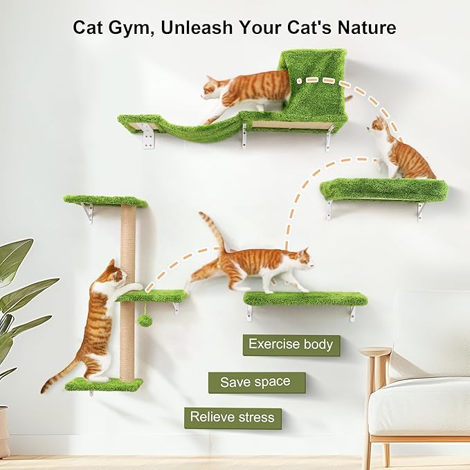FUKUMARU Cat Wall Shelves, Stable & Safe 5 in 1 Cat Walls Furniture Set, Wooden Kitten Climbing Wall with Scratching Post for 16 Inch Drywall - Green
