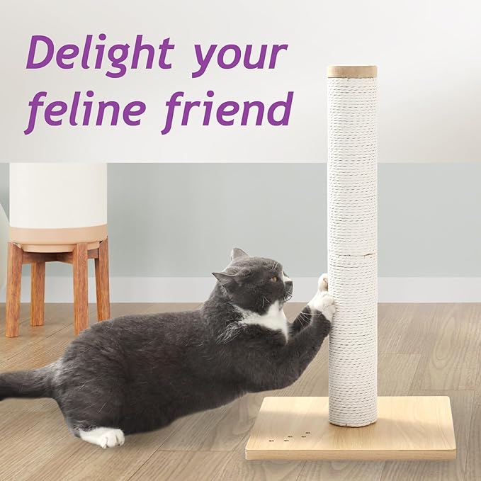 Necoichi 23.6” Tall Cat Scratching Post Kitten Scratcher Paper Rope Scratch Posts Trees with Hanging for Indoor Cats (23.6 inches for Kitty, Regular, Oak)