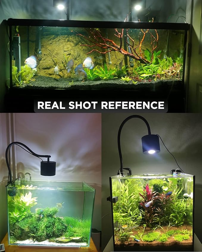 Lominie Aquarium LED Light 10 Gallon Fish Tank Light Timer Clip on Aquarium Lamp Full Spectrum 85W 6500k for Freshwater Refugium Cube Tank with Gooseneck