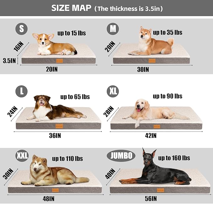 Patas Lague Orthopedic XL Dog Bed Large Sized Dog 42''X28'', Soft Waterproof Egg Crate Foam Large Pet Crate Beds Mat with Removable Washable Cover and Non-Slip Bottom, Ivory