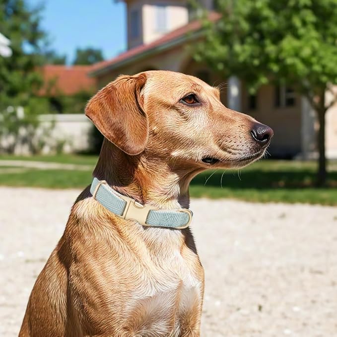 Soft Dog Collar and Leash Set Adjustable Woven Twilled Dog Collars with Metal Buckle and Lead for Small Medium Large Dogs,Blue