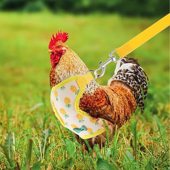 Prasacco Chicken Harness and Leash Set, 2 Pack Adjustable Chicken Vest with Leash Soft Polyester Breathable Harness for Hens Ducks Geese Training Walking M Size