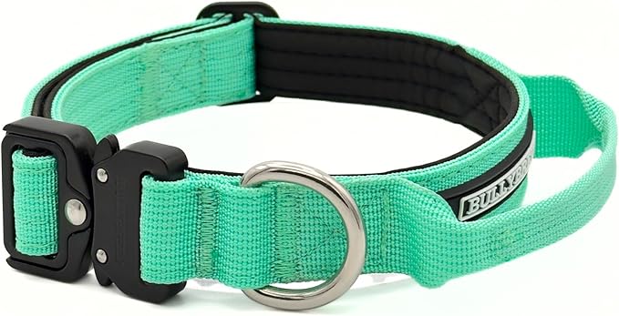 Tactical Dog Collar for Puppy, Heavy Duty Puppy Collar, Dog Collar for Small Dogs, Waterproof Dog Collar, Dog Training Collar, Quick-Release Buckle, Adjustable Sizes – BULLYBREED (Aquamarine, Small)