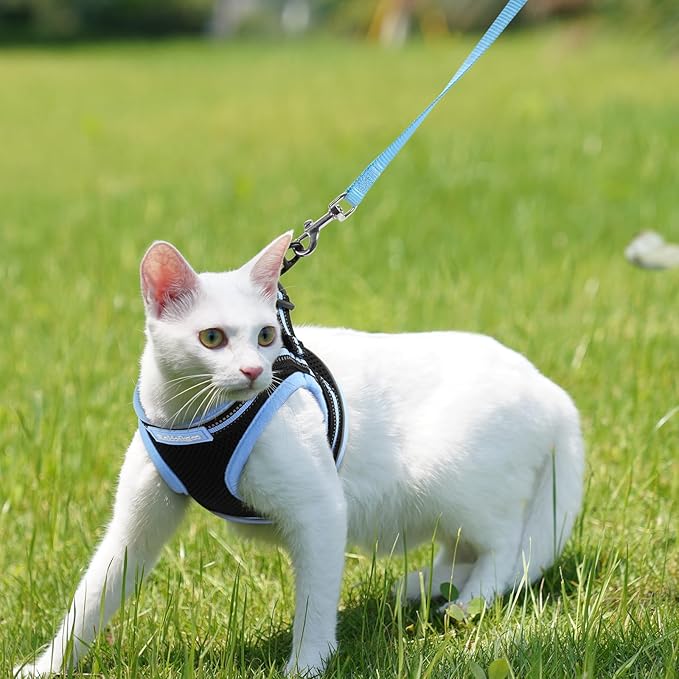 rabbitgoo Cat Harness and Leash Set for Walking Escape Proof, Adjustable Soft Kittens Vest with Reflective Strip for Cats, Comfortable Outdoor Vest, Black & Light Blue, S