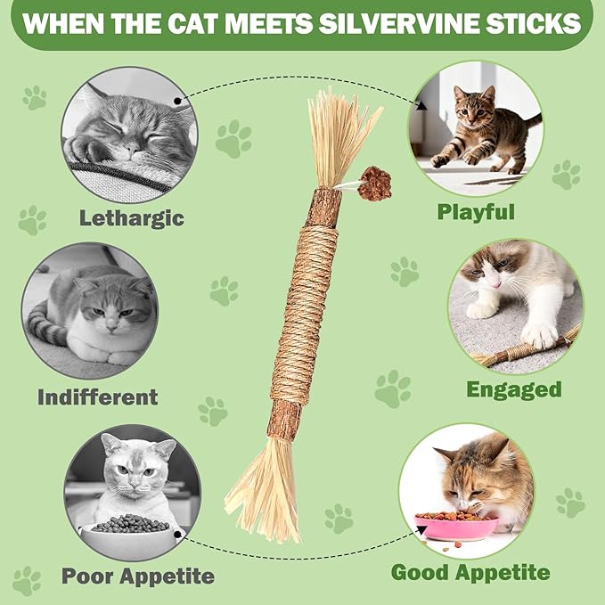 [8 Pack] Silvervine Sticks for Cats, Natural Chew Stick for Dental Care Teeth Cleaning, Cat nip Chew Rope Toys for Bored Indoor Kittens, Catmint Silvervine Blend Toys
