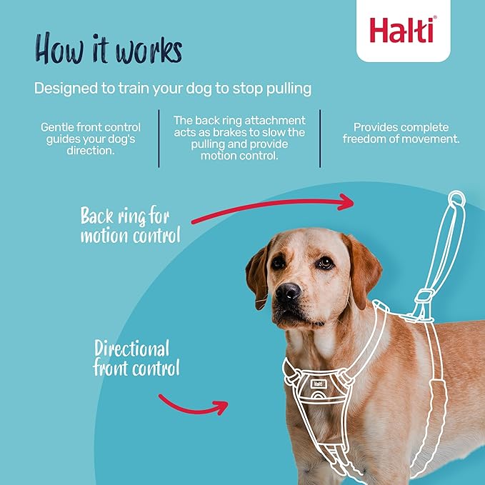 Halti No Pull Harness - Stop Your Dog Pulling on The Leash. Adjustable, Lightweight and Easy to Use. Reflective Dog Training Harness for Small Dogs (Size S, Desert Sand)