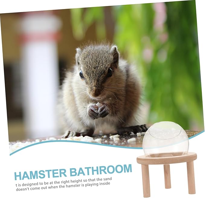 Glass Hamster Bath Tub for Small Supply Chinchilla Dust Bath Container Smooth Edges for Daily Use