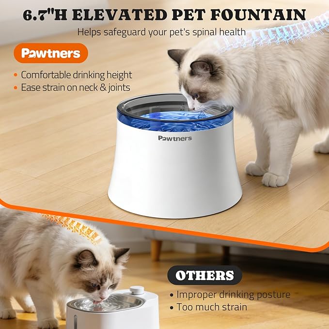 Pawtners Pet Dog Water Fountain with Vortex Filter, 1 Gal/3.5L Water Bowl Dispenser for Medium Small Dog/Cat, Automatic No Spill Cat Fountain for Inside, Deep Drinking Area and Quiet Pump, 6.7" H