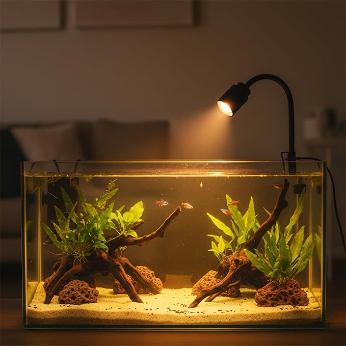 Mini Aquarium Spotlight with Timer, Clip-On Gooseneck Lamp, 15°-90° Zoom | Tri-Color White/Warm White/Warm Light, Dimmable 3W USB, 5.2 In Gooseneck, Fits Glass Up To 8mm