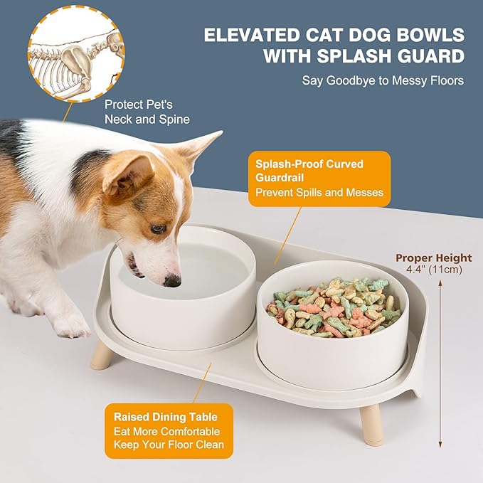 Raised Cat Food and Water Bowl Set - Elevated Ceramic Dishes with Non-Slip Stand and Splash Guard for Small Dogs - 2 x 320 ML (4.9 OZ) - White
