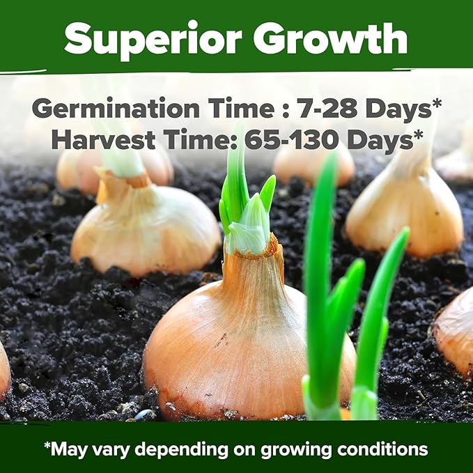 HOME GROWN 8 Onion Variety Mix 1600+ Heirloom Non-GMO Seeds for Planting, High Germination, Red, Yellow, White, Sweet Vidalia & Spanish Bulb Onions, Green Scallions,Indoor Outdoor Garden (Allium cepa)