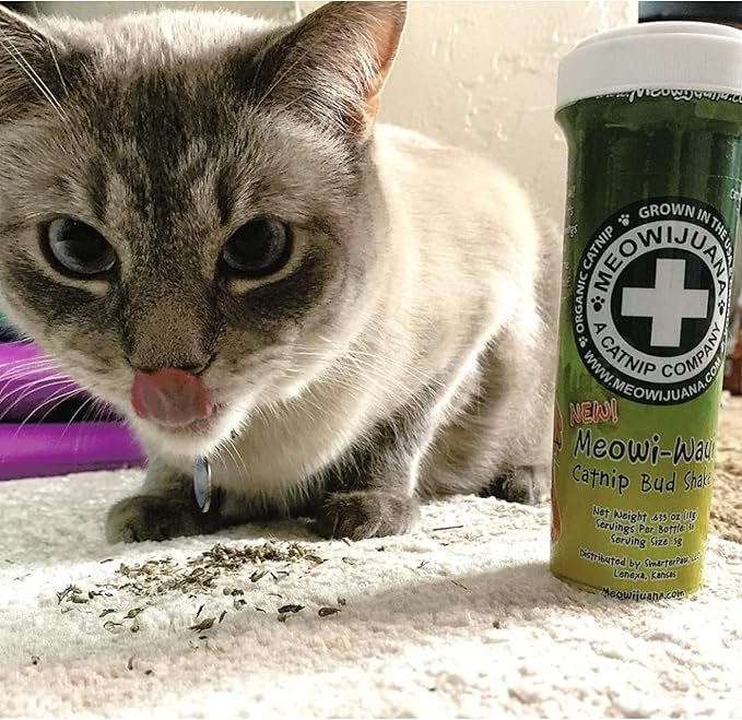 Meowijuana | Catnip Bundles | Organic | High Potency Cat Treats | Perfect for Cat Toys | Grown in The USA | Feline and Cat Lover Approved (Mice Dreams Catnip Bottle Bundle)