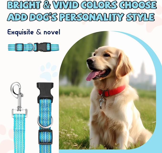 Reflective Dog Collar and Leash Set, Nylon Dog Leash with Heavy-Duty Steel D-Ring, Adjustable with Quick Release Buckle for Medium Dogs,Cyan M