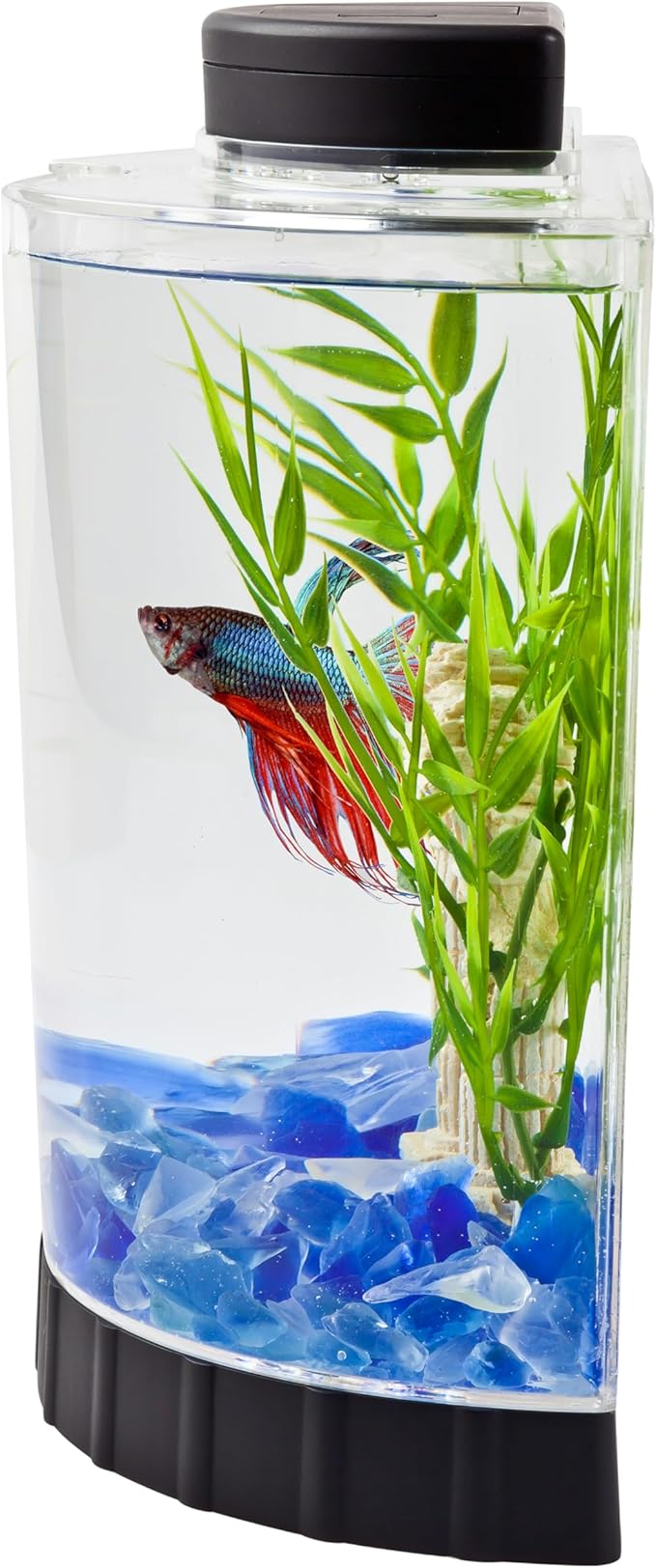 Tetra LED Half Moon Aquarium Kit, 1.1 Gallons, Small, Clear Plastic Fish Tank With Curved Front, Easy Feeding And Movable, Energy-Efficient LEDs Ideal For Bettas Great As Desk Aquarium