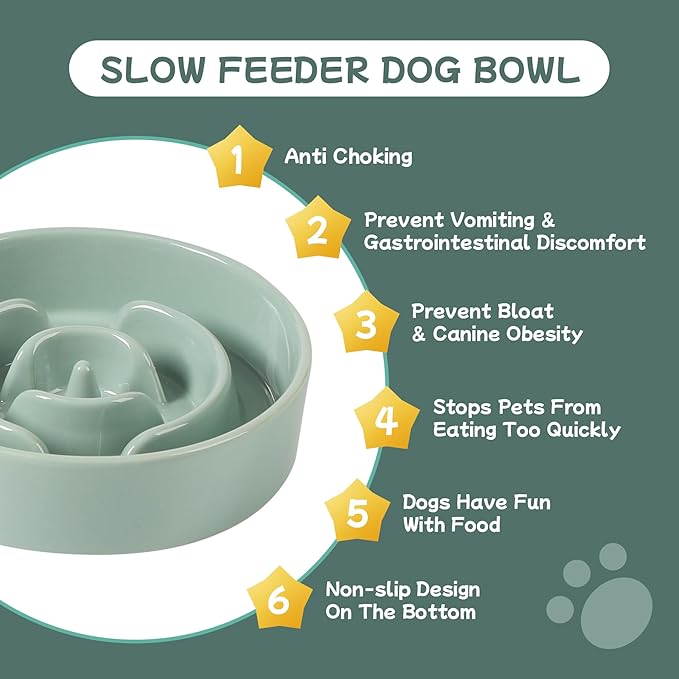 Havniva Ceramic 0.9 Cup Raised Dog Slow Feeder Set, Elevated Bowl with Wooden Stand for Small Dog and Cat, 6.1inch Puzzle Slow Dog Food Dish, Anti-Gulping(Light Green, Single Bowl+ Stand)