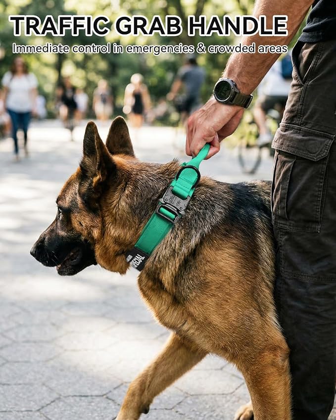 Joytale Tactical Dog Collar with Handle and Metal Buckle, Heavy Duty Padded Military Collar with 2 Patches for Training, Adjustable for Medium Dogs, Teal, M