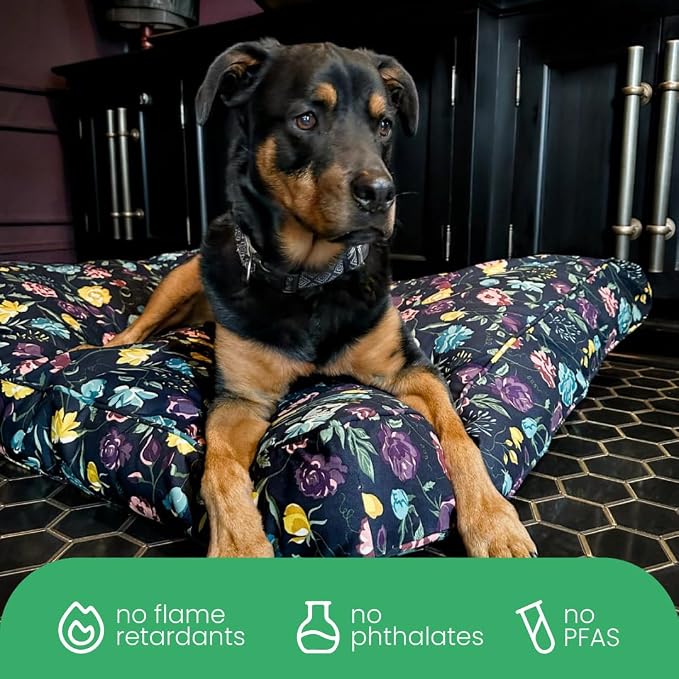 Molly Mutt Friday Morning Dog Bed Duvet Cover, GOTS-Certified 100% Organic Cotton Canvas Cover for Dog, Puppy, or Cat Bed, Durable, Washable, and Free of Harmful Chemicals, Medium/Large, 27"x36"x5"
