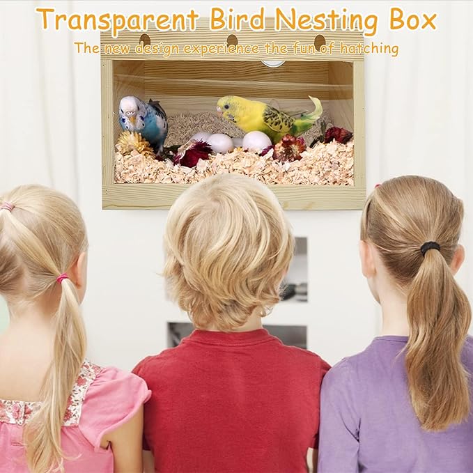 PINVNBY Large Natural Wood Parakeet Nesting Box Budgie Breeding Box Acrylic Bird Nest for Cage Transparent Panoramic for Birds, Parrots, Cockatiels, Lovebirds, Canaries (L: 11.8 x 5.7 x 5.9 inch)