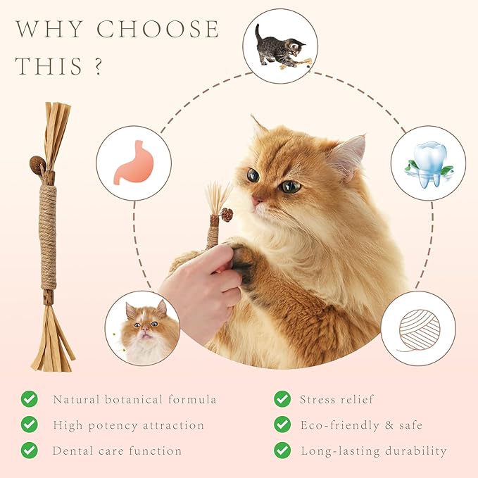 Natural Silvervine Cat Chew Sticks Set of 3-Pieces, Edible Kitten Teeth Cleaning Toys, Dental Care Lick Treats