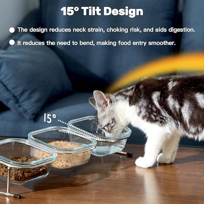 Hannadepot Elevated Cat Bowls, 15° Tilted Glass Raised Cat Food Bowl with Stainless Steel Stand, 3 Glass Cat Bowls and 4 Anti Slip Feet, Suitable for Cats and Little Dogs