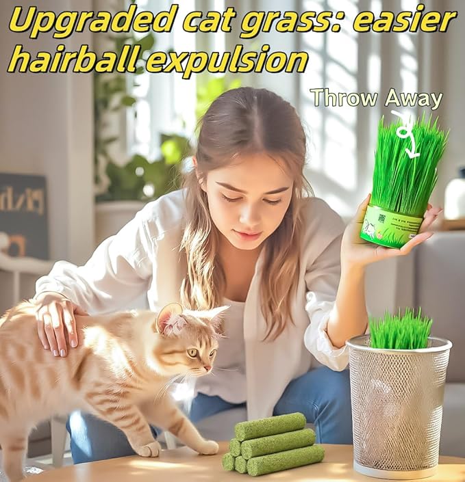 6Pcs Cat Toys Cats Grass Treat for Indoor Cat Edible Grass Kitten Toys Kitty Chew Grass Sticks for Teeth Kitten Snack