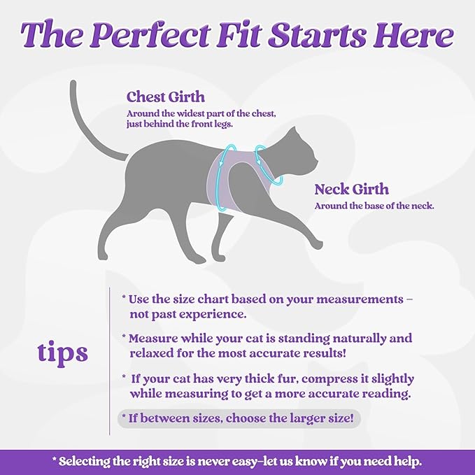 rabbitgoo Cat Harness and Leash Set for Walking Escape Proof, Adjustable Soft Kittens Vest with Reflective Strip for Cats, Comfortable Outdoor Vest, Purple, L