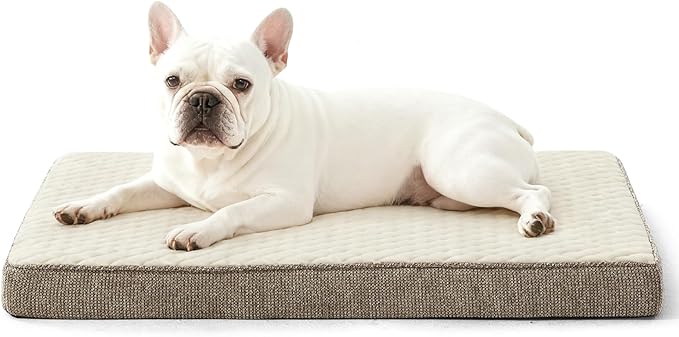 JOEJOY Orthopedic Dog Bed for Small Dogs, Washable Dog Crate Bed Small Sized with Removable Cover, Egg Memory Foam Pet Beds, Beige, 23"x17"