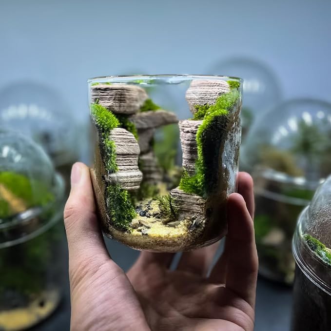 Natural Rocks Pagoda Stones 1-2.5 Inches Decorative Rocks for Fairy Gardens,Miniature Landscaping,Bonsai,DIY Crafts, Aquariums & Reptile Terrariums-2lb