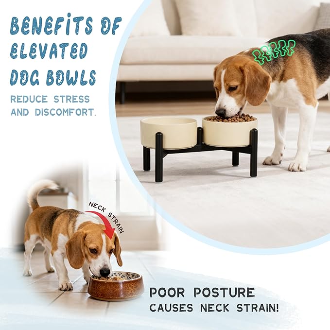 Ceramic Elevated Dog Bowl Set - Dog Feeder Station with Cute-Style Double Bowls for Small and Medium Size Breed - Non-Slip Raised Dish for Food and Water Feeding- 6 Inch - 3.5 Cups / 20 fl oz - Green