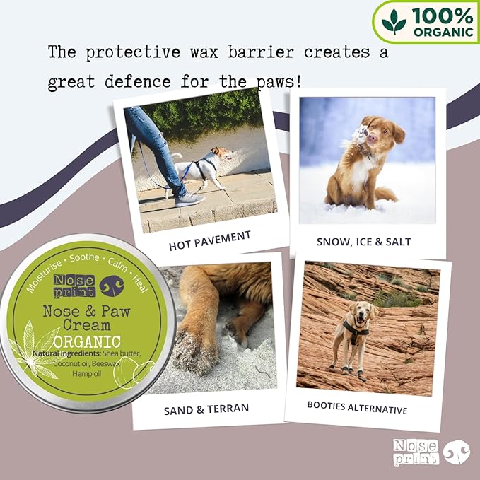 100% Organic After Sun moisturiser Dog Nose & Paw Balm Protector | Dog Paw Moisturiser Balm Moisturises and Conditions and Relieves Dry and Cracked Pads | Food Grade Ingredients 30ML