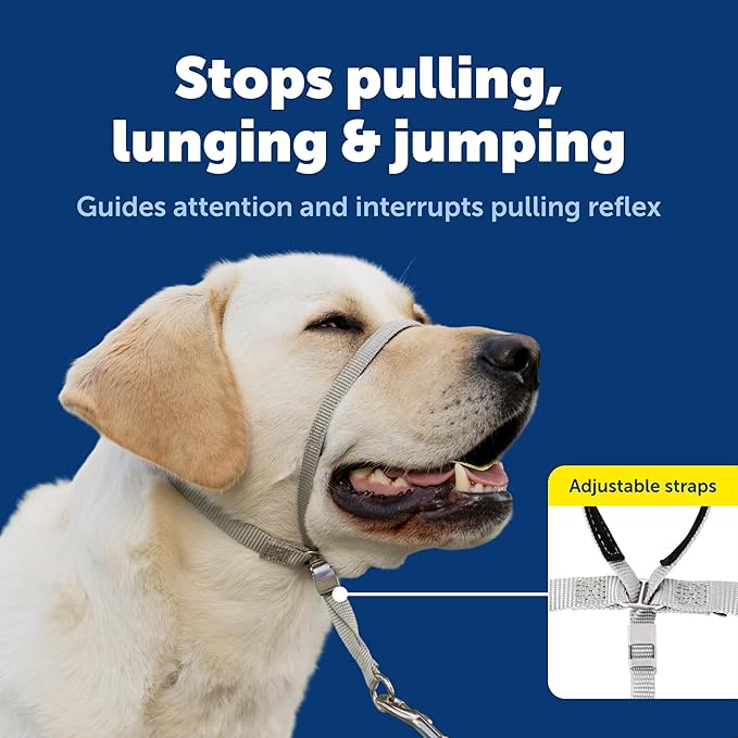 PetSafe Gentle Leader Headcollar No-Pull Dog Collar - Helps Improve Walks - Durable Nylon Construction - Padded Nose Loop - Adjustable Fit - Comfort Walking Halter - Medium, Charcoal