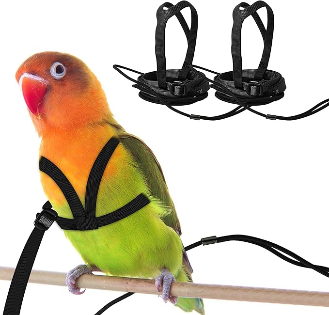2 pcs Pet Parrot Bird Harness and Leash, Adjustable Training Design Anti-Bite, Outdoor Flying Training Rope Kit for Bird Parrots Fits Birds Chest Between46-76cm /18.11-29.92inch - XL (Black)