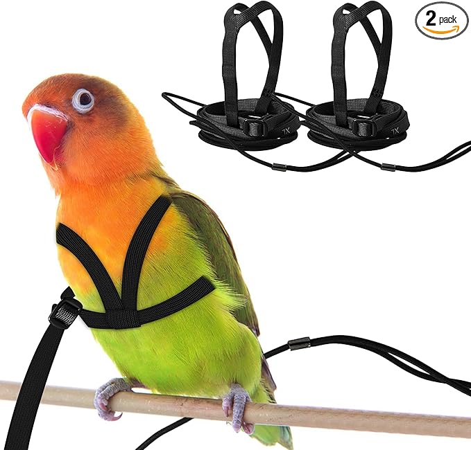 2 pcs Pet Parrot Bird Harness and Leash, Adjustable Training Design Anti-Bite, Outdoor Flying Training Rope Kit for Bird Parrots Fits Birds Chest Between24-51cm /9.45-20inch - M (Black