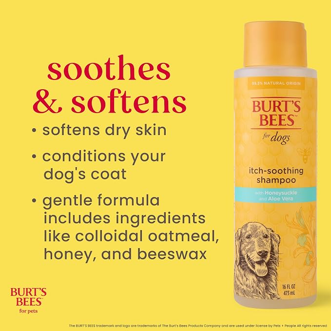 BURT'S BEES FOR PETS Itch Soothing Shampoo with Honeysuckle, 6pk, 95% Natural Origin Formulas, Dog Shampoo for Itchy Dogs, Dog Shampoo Itchy Skin Relief, 6pk, 16 oz