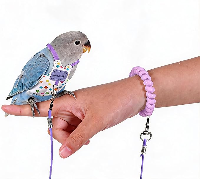 Bird Harness Leash Set Adjustable Vest Anti-Lost Wrist Strap for Parakeet Cockatiel Conure Lovebird (Purple, Caique Parrot 13 * 7.5cm/6g)